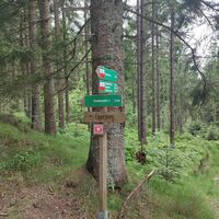 Beim Wegkreuz Forststraße Abzweig Richtung Eggersberg gehen