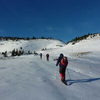 Schneealpe