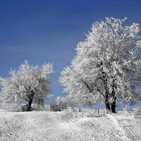 Winterwanderung -Achele Runde