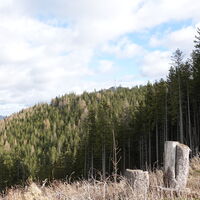Aufstieg am Dürrriegel