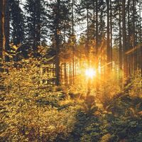 Unterwegs am Rauchbodenweg