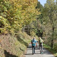 Der Aufstieg führt anfangs über Asphaltwege