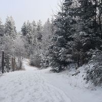 Masenberg Weg im Schnee Verbindung zum Olmstoll in der Oststeiermark