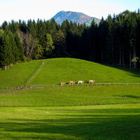 "Rosen-Tal" Blickrunde, Matschach