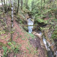 Sonntag, 14. Mai 2017, 13:04 Uhr