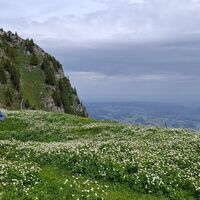 Unterhalb Chatz u Mus - Gurnigel Stockhorn Trailrun