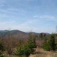Ternitz - Puchberg