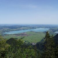 Der Forggensee vom Säuling aus