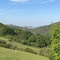 Ausblick auf Neuleiningen vom Leininger Burgenweg