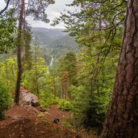 Aussichtsblick vom Beilfelsen ins Teinachtal