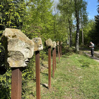 Ars-Natura im Melsunger Stadtwald