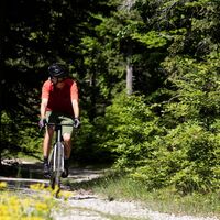 Gravelbiker am Brunschkopf