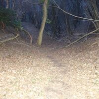 Abstieg im Biegel Graben