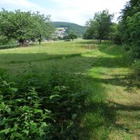 Oberhalb von Ohmbach