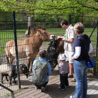 Familie im Klever Tierpark