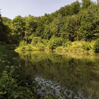 Pochteich