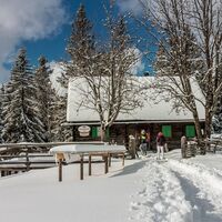 im schnee auf die packeralpe_img_25667538
