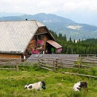 Kranichberger Schwaig