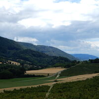 Oberarnsdorf - Aggstein - Schönbühel