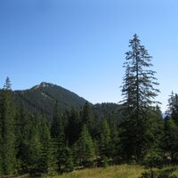 Hinternaßwald - Grenzriegel - Amaißbichl