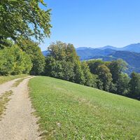 Blick Richtung Traisental