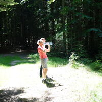 am Hohlweg im Wald hoch
