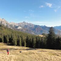Karleckrunde über die Ochsenwaldalm