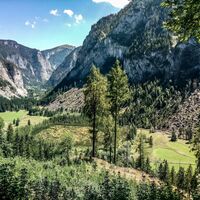 Blick ins Tal mit Rotmoos