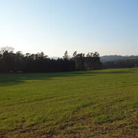 Feldweg zum Dachberg