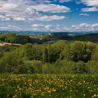 Ausblick ins südoststeirische Hügelland