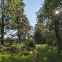 Graswanderweg in Willingen