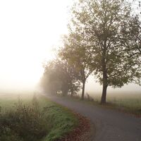 Der Pummpälzweg bei Nebel nahe Profisch