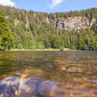 Feldsee