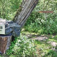 Abzweigung zur Jagdhütte