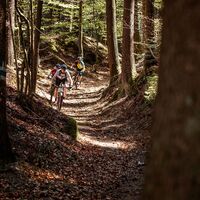 Mountainbiken im Mühlviertler Granitland
