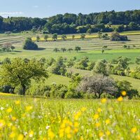 Die typische Bliesgau-Landschaft bei Medelsheim