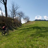 Weg vor Neuenmatt -  Rund ums Guggershorn