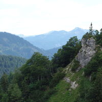 am Rückweg Steig