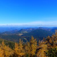 Losenheim - Nadlgrat - Kaiserstein - Klosterwappen - Schauerstein - Edelweißhütte