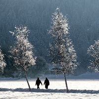 Winterwanderung - Panoramaweg