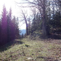 am Stadelberg Rückweg