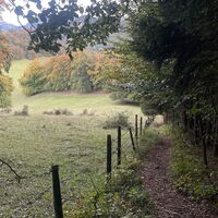 Kruckenbrettl - Trail