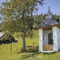 Wörschachklamm_1777 © Gerhard Pilz (2024-08).jpg