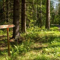 Forstweg