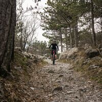 Ein holpriger Abschnitt auf dem Weg
