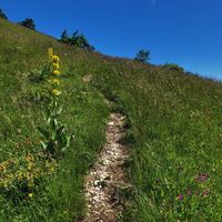 Weg auf dem Grand Colombier