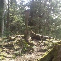 Einige Qi Gong Station finden sich am Höhenweg