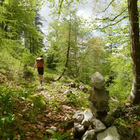 auf dem Weg zur Falkenmauer