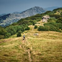 Kamm Monte Reixa