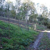 Abstieg Richtung Freundorf zum Kreuzwegbeginn
